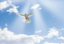 Что есть крещение Духом Святым? Что есть крещение Духом Святым?