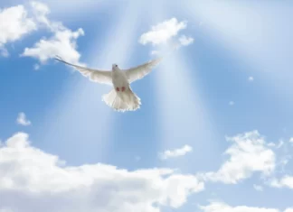 Что есть крещение Духом Святым?