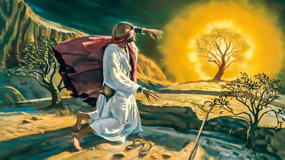 Горящий куст и церковь 1 Горящий куст и церковь