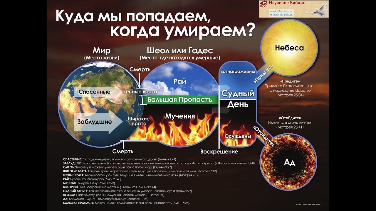 Есть ли жизнь после смерти?