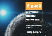 6 дней — 6 этапов жизни человека