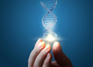 Генетический код - кто написал 6 фактов в защиту Бога