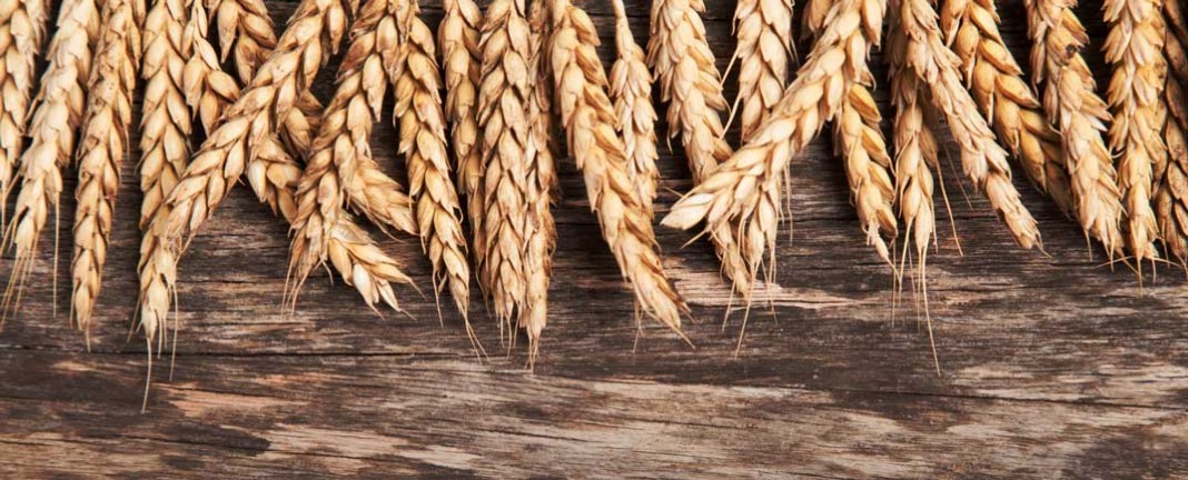 Поделитесь Словом Божьим сегодня, в Международный День Библии!