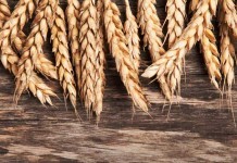 Поделитесь Словом Божьим сегодня, в Международный День Библии! Поделитесь Словом Божьим сегодня, в Международный День Библии!