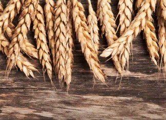 Поделитесь Словом Божьим сегодня, в Международный День Библии! Поделитесь Словом Божьим сегодня, в Международный День Библии!