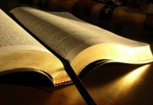 Бесплатная Библия: на что мы «подписываемся»?