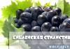 Подмена буквального значения образным: 5 примеров. Часть 1 Библейская стилистика