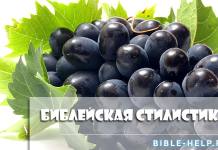 Библейские метафоры. 10 заданий Библейская стилистика