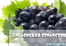 Библейские метафоры. 10 заданий Библейская стилистика