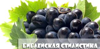 Как распознать образный язык? Библейская стилистика
