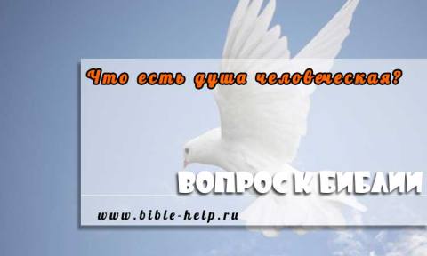 Что есть душа человеческая? 1 Что есть душа человеческая?