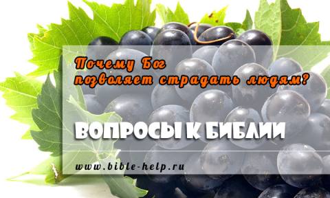 Почему Бог позволяет страдать людям? Почему Бог позволяет страдать людям?