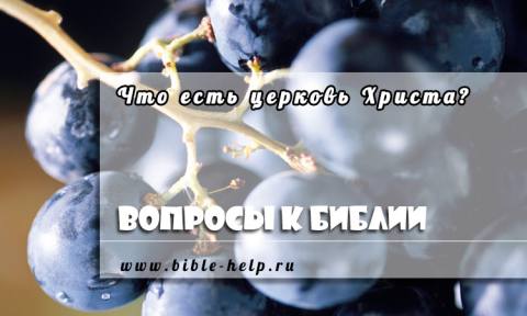 Что есть Церковь Христа? 1 Что есть Церковь Христа?