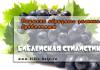 Заглянем глубже: разгадываем тайны библейских символов Подмена образного значения буквальным