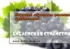 Подмена образного значения буквальным. Часть 2 Подмена образного значения буквальным