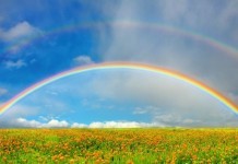 Радуга: законы физики, история появления, символ Библии Радуга: законы физики, история появления, символ Библии