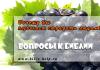 Почему Бог позволяет страдать людям?