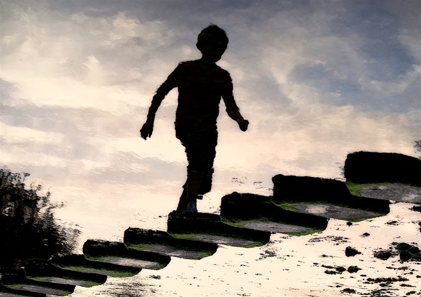 Что такое “Стадий”?